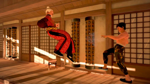 Dragon Fist: VR Kung Fu screenshot 12