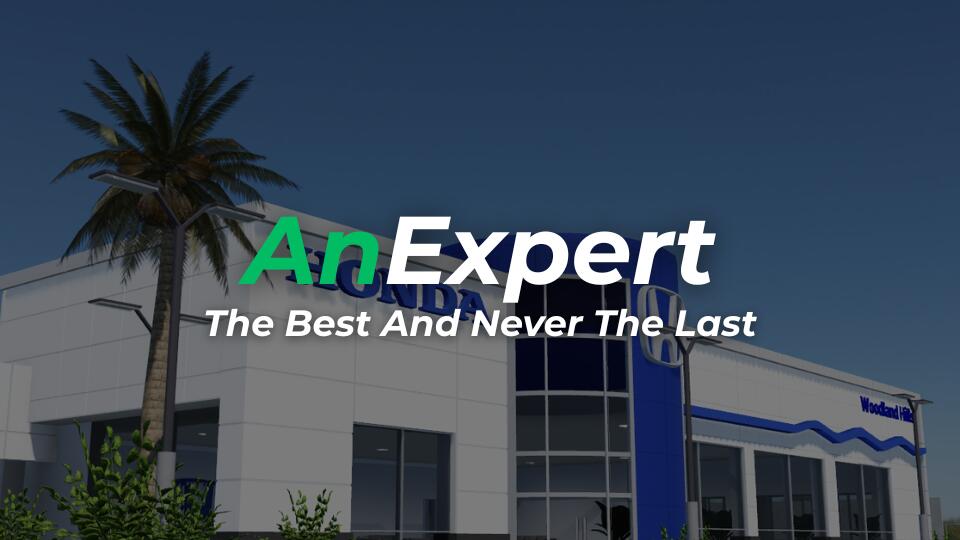Discovery splash banner for AnExpert Discord server