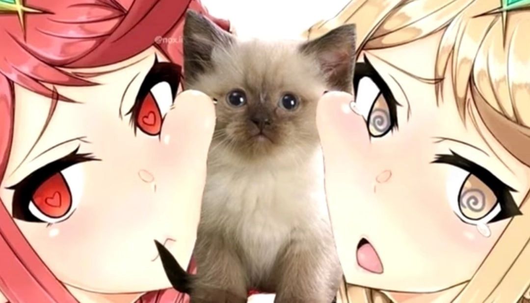 Discovery splash banner for LUIMI ★ STORE Discord server