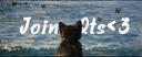 Discovery splash banner for Born2luv~!š· | Socialć»Hangoutć»Animeć»Chillć»Loveć»Nitroć»Vcsć»Gamingć»Fun Discord server