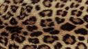 Discovery splash banner for Make Friends | Vc server • Social • Chill • Chat • Active • Chatting • Voice Chat • Hangout Discord server