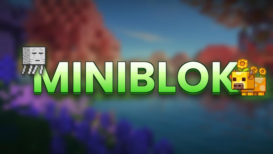 Discovery splash banner for 🗡 miniblok.com Discord server