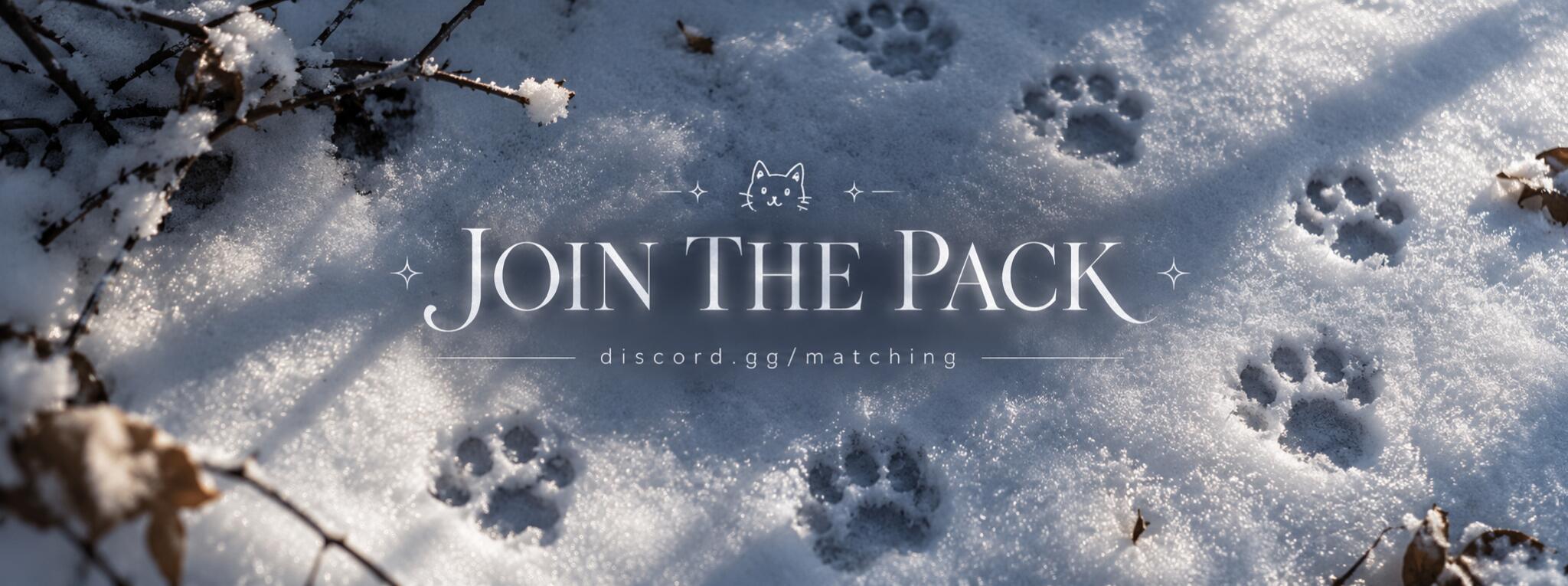 Discovery splash banner for 🐾 matching • pfps • chat・Vcs • decor・art・guilds・games・giveaways・tags・emojis Discord server