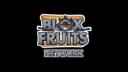 Discovery splash banner for Blox Fruit Network Discord server