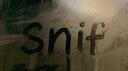 Discovery splash banner for snif Discord server