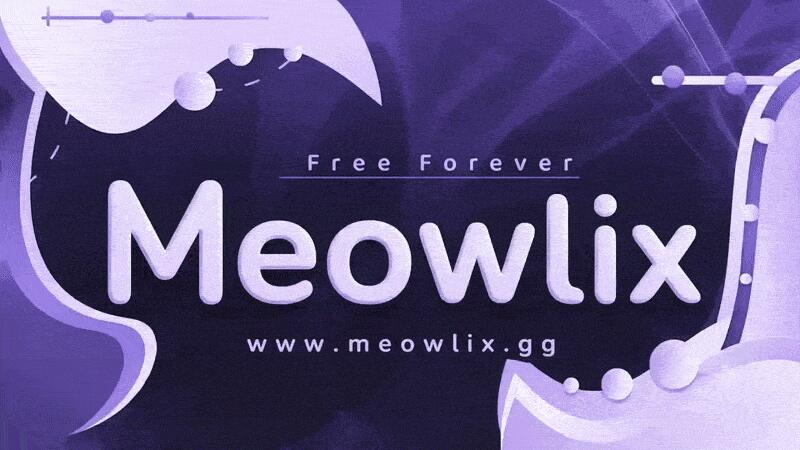 Discovery splash banner for Meowlix.gg Discord server