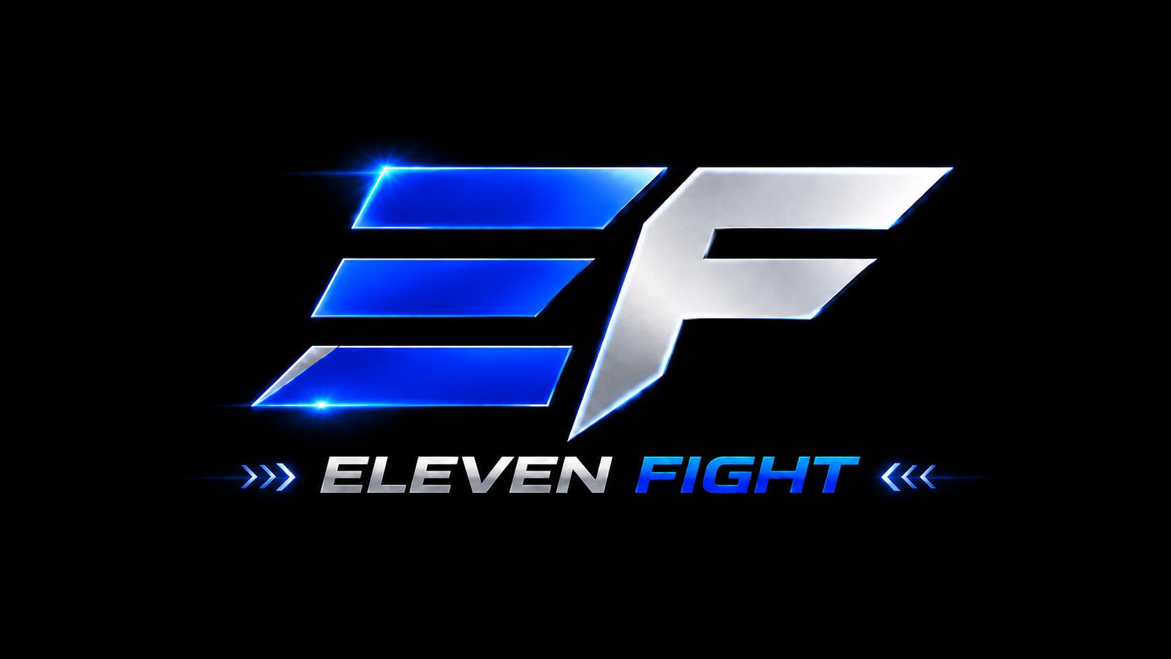 Discovery splash banner for Eleven Fight Discord server