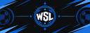 Discovery splash banner for World Soccer League | S1 Discord server