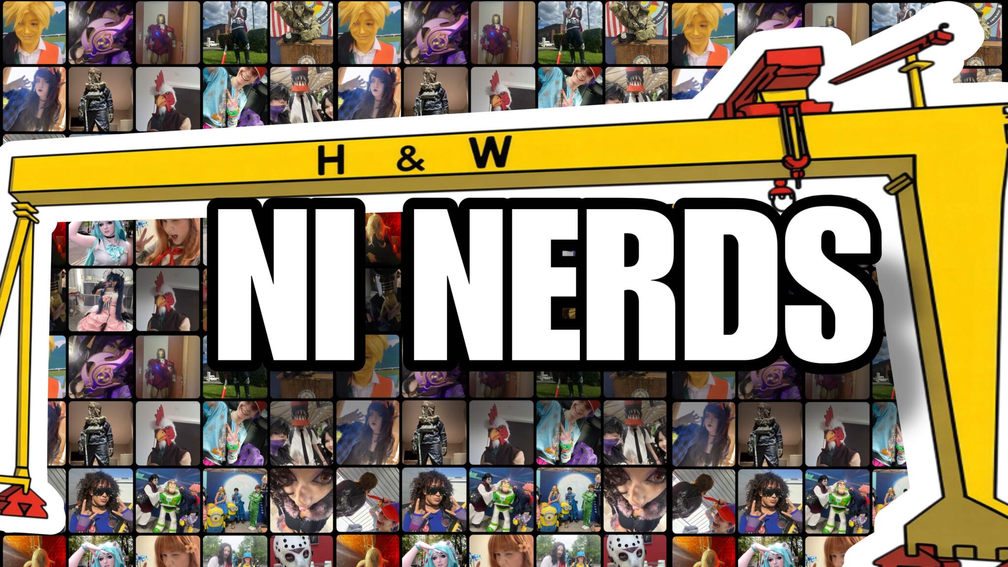 Discovery splash banner for NI NERDS+ Discord server