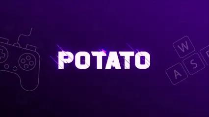 Discovery splash banner for Potato Discord server