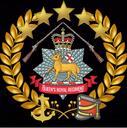 Discovery splash banner for Queen's Royal Regiment Discord server