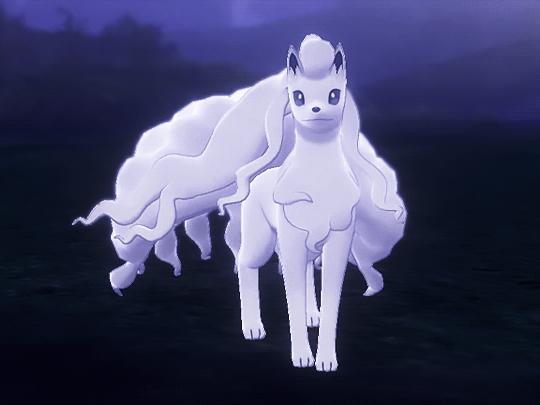 Discovery splash banner for Ninetales' Paradise Discord server