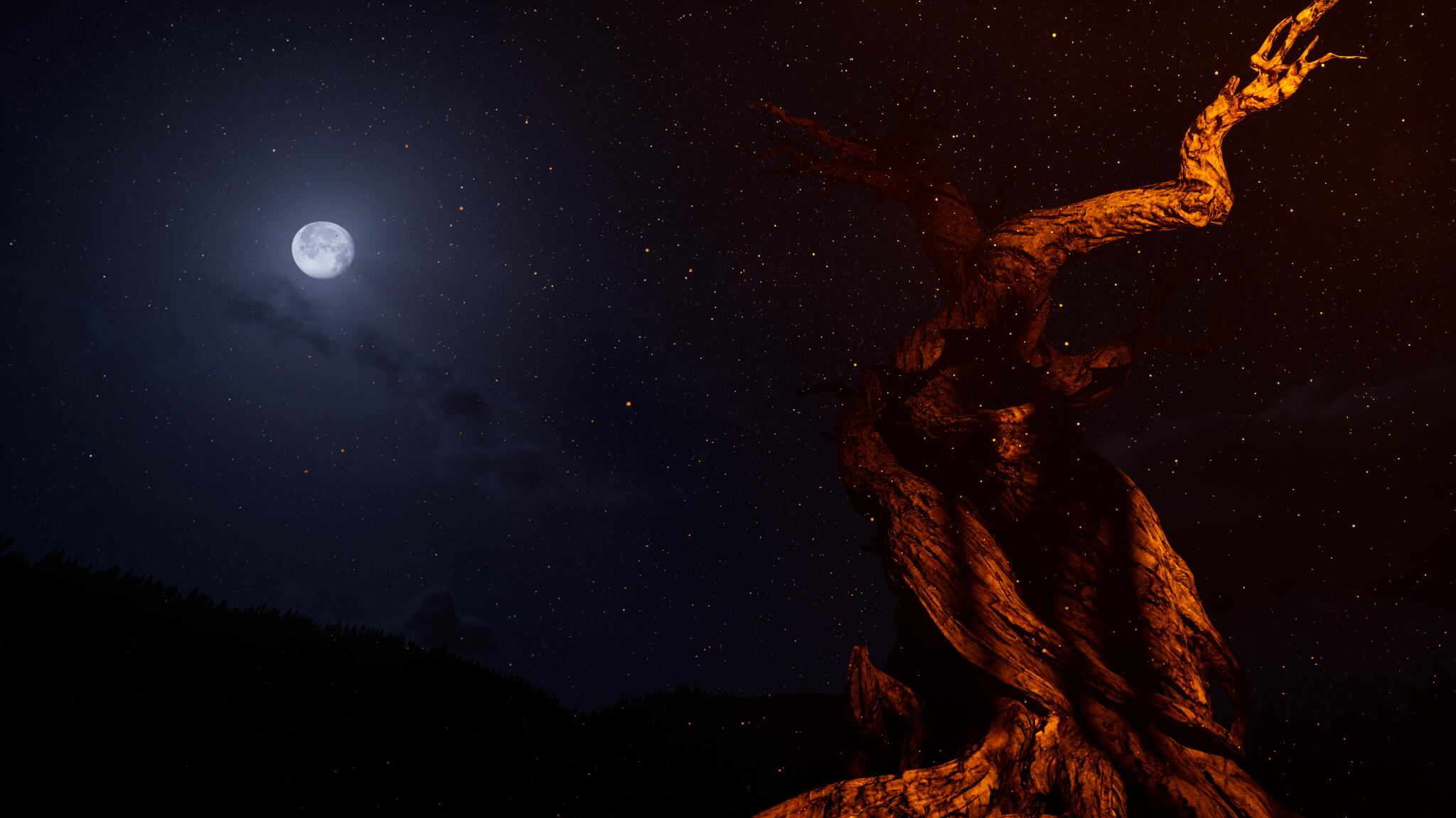 Discovery splash banner for Slenderman's Shadow Discord server