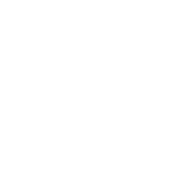 Discovery icon for CAORP - December, 2026 Discord server