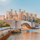 Discovery icon for Worlders of Wales Discord server
