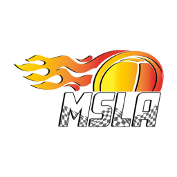 Discovery icon for MSLA Racing Network Discord server