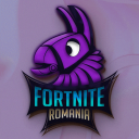 Discovery icon for Fortnite România Discord server