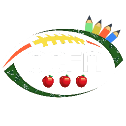 Discovery icon for Old Collegiate Football Association Discord server